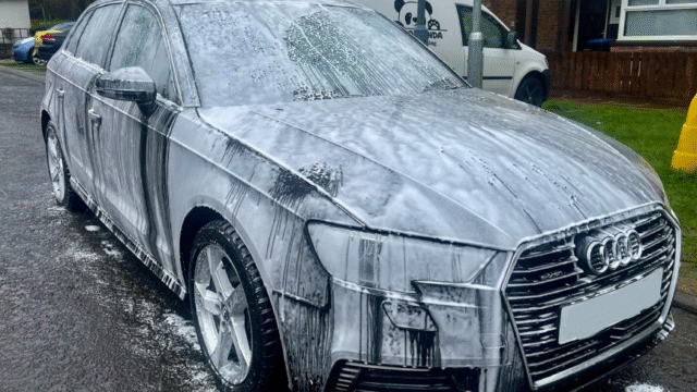 AutoPanda-5