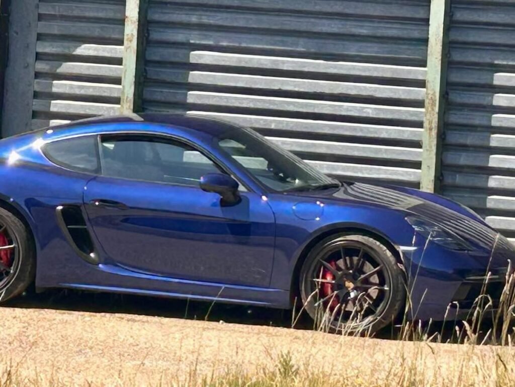 Viper-Auto-Valet-2