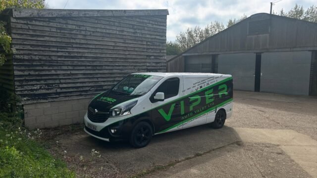 Viper-Auto-Valet-4